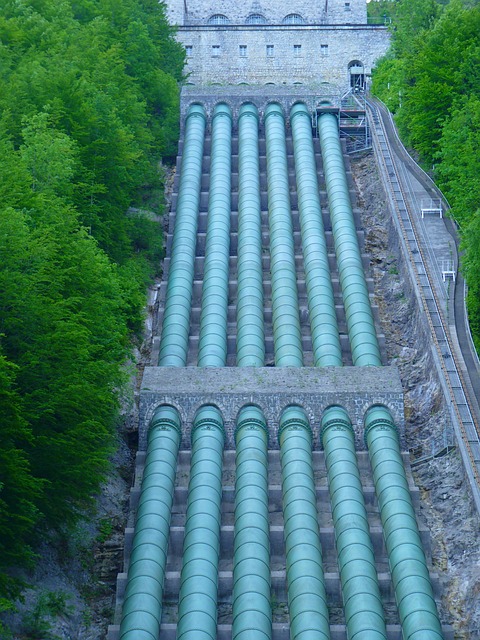 51759.jpg